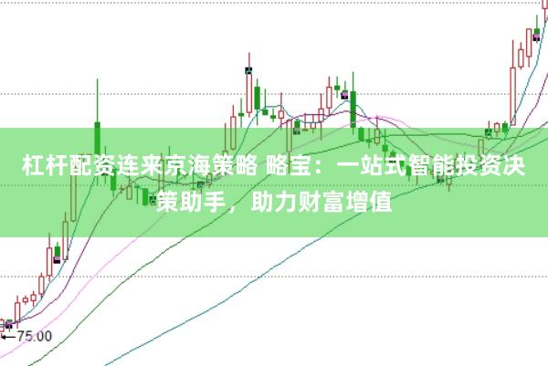 杠杆配资连来京海策略 略宝:一站式智能投资决策助手,助力财富增值