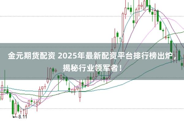 金元期货配资 2025年最新配资平台排行榜出炉，揭秘行业领军者！