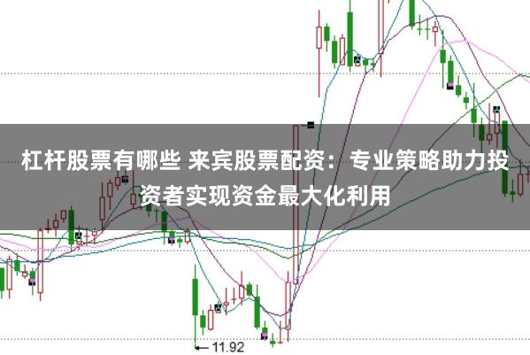 杠杆股票有哪些 来宾股票配资：专业策略助力投资者实现资金最大化利用
