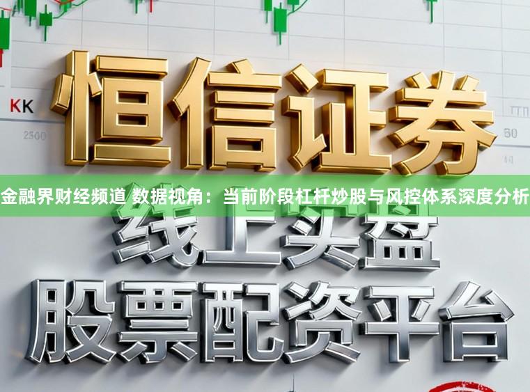 金融界财经频道 数据视角：当前阶段杠杆炒股与风控体系深度分析
