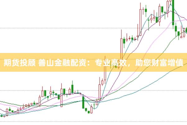 期货投顾 善山金融配资：专业高效，助您财富增值